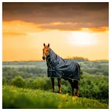 Horseware Pferde-Regendecke Horseware Amigo Ripstop 900D Plus Pony Turnout 0g 95 cm / 4'9 cm
