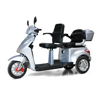Efun ECO ENGEL 503 Elektromobil Zweisitzer 25 km/h Silber