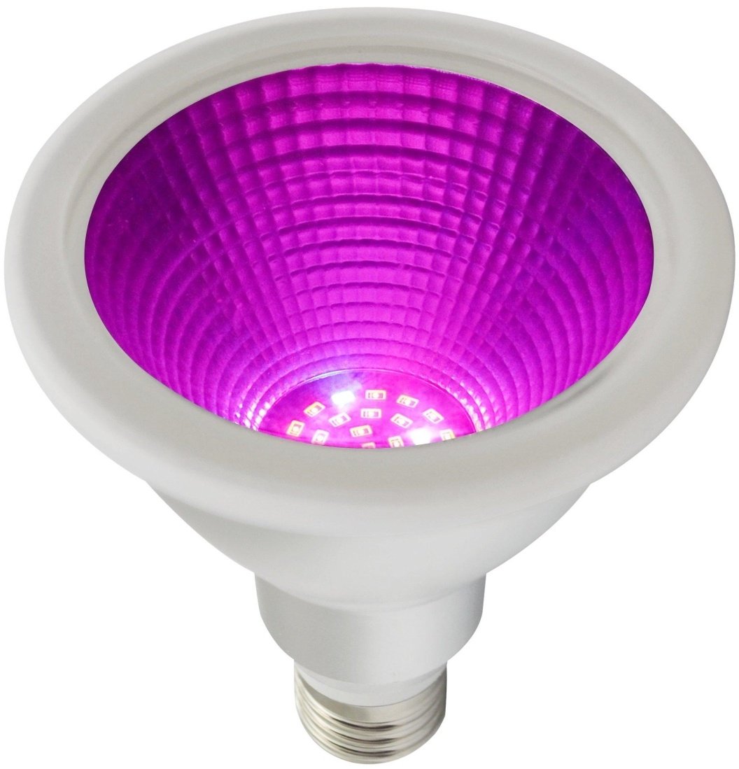 PR Home Grow LED Pflanzenlampe E27 PAR30 Leuchtmittel 12W IP65 30° 450umol/m2s 450nm/620-630nm