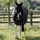 Kentucky Horsewear Pferdedecke, 125