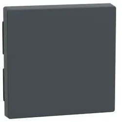 Merten 433114 Wippe, anthrazit, System M
