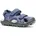 SEATURTLE2 22
