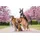 Wolters Professional Comfort Hundegeschirr Grün/Schwarz 27-32 cm