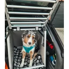 nobby® Hundetransportbox Round Corner L Grau