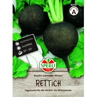 Sperli Rettich, Runder schwarzer Winter, MaxiPack 10 g