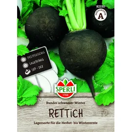 Sperli Rettich, Runder schwarzer Winter, MaxiPack 10 g