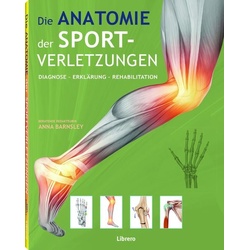 Die Anatomie der Sportverletzungen