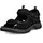 black 43