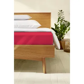 KAEPPEL Spannbettlaken Jersey-Elasthan 180 x 200 - 200 x 220 cm rot