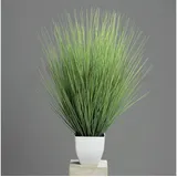 Der Schwarze Mann ROLLER Isolepsisgras - Kunstpflanze - im Topf - 80 cm