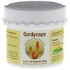 Cordyceps sinensis Kapseln