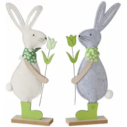 Hase DAISIE