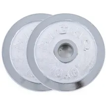 RAMROXX Hantelscheibe 20 kg Gusseisen Silber glänzend