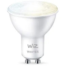 WIZ 50W GU10 Spot Tunable White Einzelpack