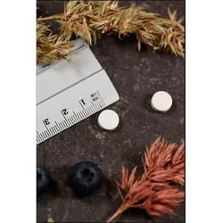 Supplementa Corporation VITAMIN B1 Thiamin 100 mg Tabletten St 