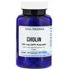 Cholin 100 mg GPH Kapseln