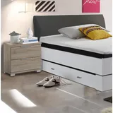 Pol-Power Schlafkontor, Nachttisch, Beimöbel Nachtkommode 2 Schubkästen Holzwerkstoff Dekorfolie 46x43x42 cm