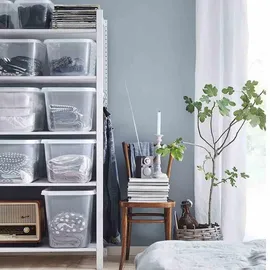 orthex BasicBox M 46 x 36 x 28 cm 1-tlg. transparent