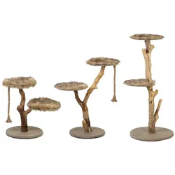 Katzen Kratzbaum Holz - Designer Katzenbaum aus Echtholz (Größe: S)