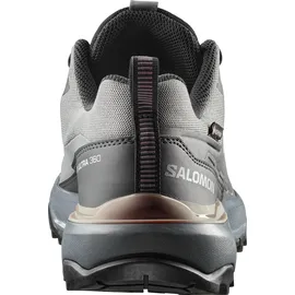 Salomon X Ultra 360 GTX Damen Sedona Sage/Urban Chic/Etherea 41