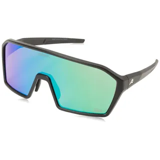 Alpina RAM Q-Lite Sportbrille (Größe ONE SIZE, schwarz)