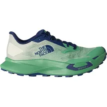 The North Face Herren Vectiv Enduris 4 Schuhe (Größe 43, gruen)