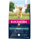Eukanuba Adult Large Lamb & Rice 2,5 kg