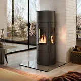 Haas + Sohn LUMINUS Kaminofen Gusseisen Schwarz