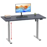 VCM Schreibtisch Lona elektrisch verstellbar 110x50