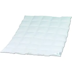 BBV Ganzjahresbett HERMETIC COMFORT
