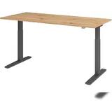 Hammerbacher Schreibtisch XMKA 19 Asteiche / Graphit