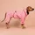 Paikka Rain Suit Hunderegenmantel 50 cm Rot