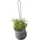 RIG-TIG Grow-It 13 x 13 x 13 cm Grau/Schwarz