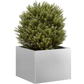 vidaXL Pflanzkübel 120 x 80 x 40 cm Verzinkter Stahl