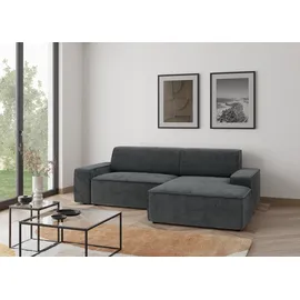 TRENDMANUFAKTUR Ecksofa TRENDMANUFAKTUR "Graz, wahlweise mit Sitzvorschub und Bettkasten, L-Form, Breite 246 cm", grau (dunkelgrau), B:246cm H:73cm T:162cm, 92% Polyester, 8% Polyamid, Sofas, Ecksofa, in Cord-, haustierfreundlichem LEO Struktur- oder LUMOS-3D-Bezug