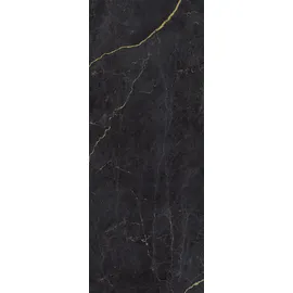 Schulte Duschrückwand Gold/Grau