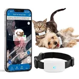 Hund GPS Tracker, Mini GPS Tracker Ohne ABO für Hunde und Katzen Tracker mit Wasserdicht Echtzeit-Tracking & Positionsverlauf Tracking GPS Halsbänder kostenloser App, Tracking Standort von Haustieren