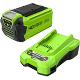 Greenworks 40 V Ladegerät 2 Ah