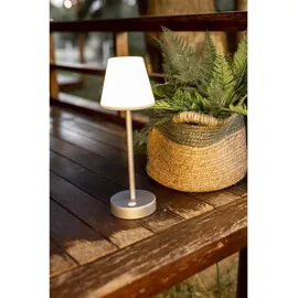 Newgarden Lola Slim Gold