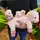 COZY NOXXIEZ Noxxiez Ferkel mit Mama 30 cm Rosa