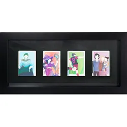 Trading Card Collector Frames (16 und 50 Karten) - 4 Kartenslots