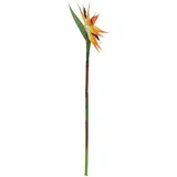 Europalms Paradiesvogel-Blume, orange, 95cm