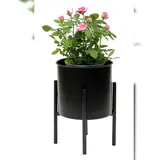 DanDiBo Ambiente Blumenhocker mit Topf 32 x 32 cm Schwarz