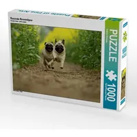 Calvendo Rasende Rennmöpse (Puzzle)