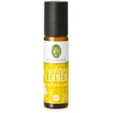 Primavera Leichter lernen Roll-On