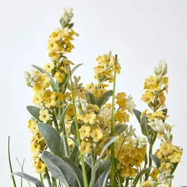 Homescapes KUNSTPFLANZE Lavendel gelb 66 cm