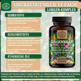 Scheunengut Scheunengut® Lungenkraft® | Lungenkraut Kapseln Komplex mit isländisch Moos, Salbei uvm 120 St