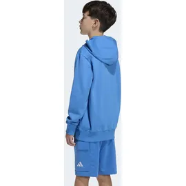 adidas Hoodie Blue 164