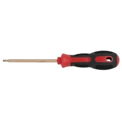 BERYLLIUMplus Schraubendreher TORX T10