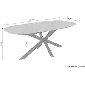 byLIVING Esstisch Grau, schwarz Metall, schwarz/Küchentisch/Esszimmertisch / 200 x 100, H 76 cm